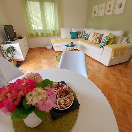 Apartments Iva Tivat Extérieur photo