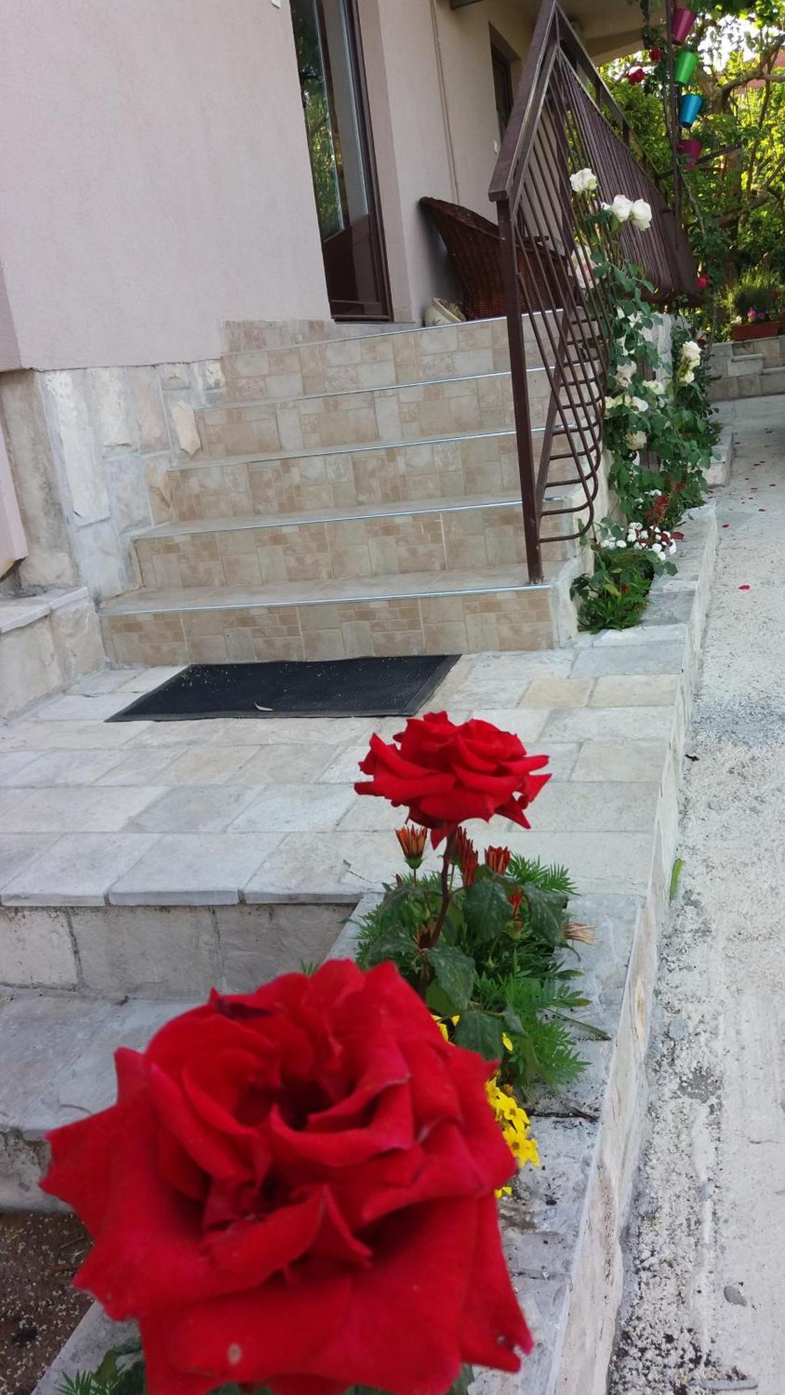 Apartments Iva Tivat Extérieur photo