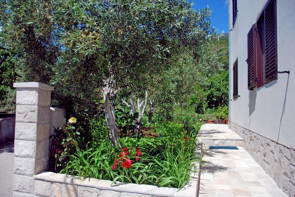 Apartments Iva Tivat Chambre photo
